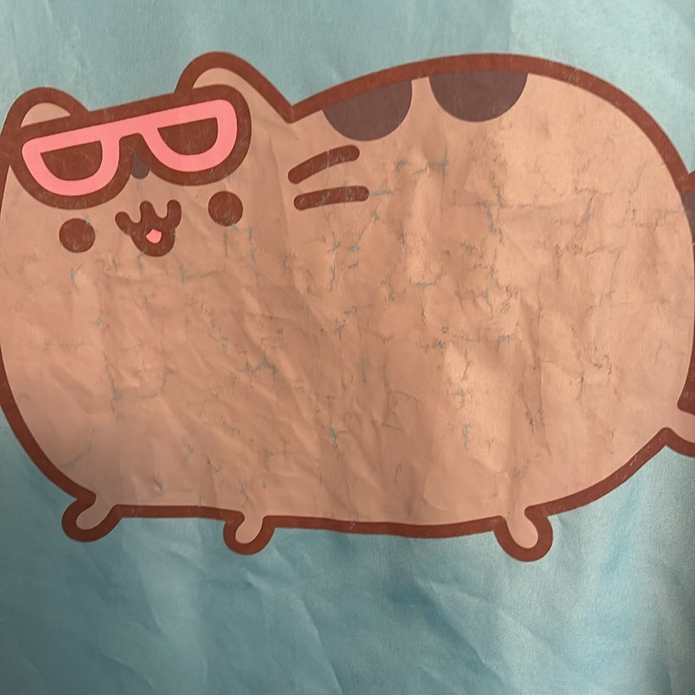 Pusheen Blue Cat raincoat - Picture 2 of 3